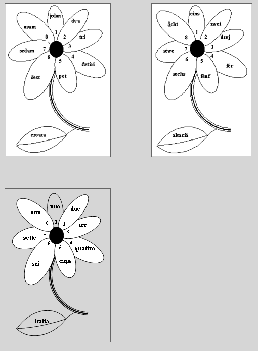 Flors